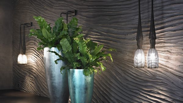 lyseblå krukker, grønne planter