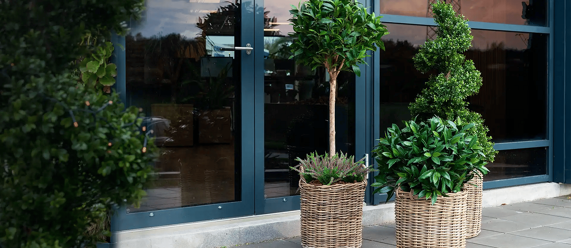 Kurve med planter,