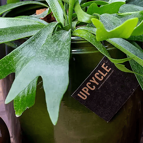 Metal krukke med grøn plante,