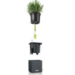 CUBE self-watering system