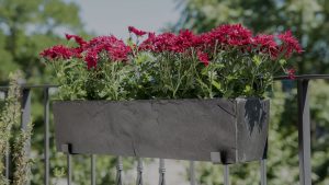 altankasse, røde blomster