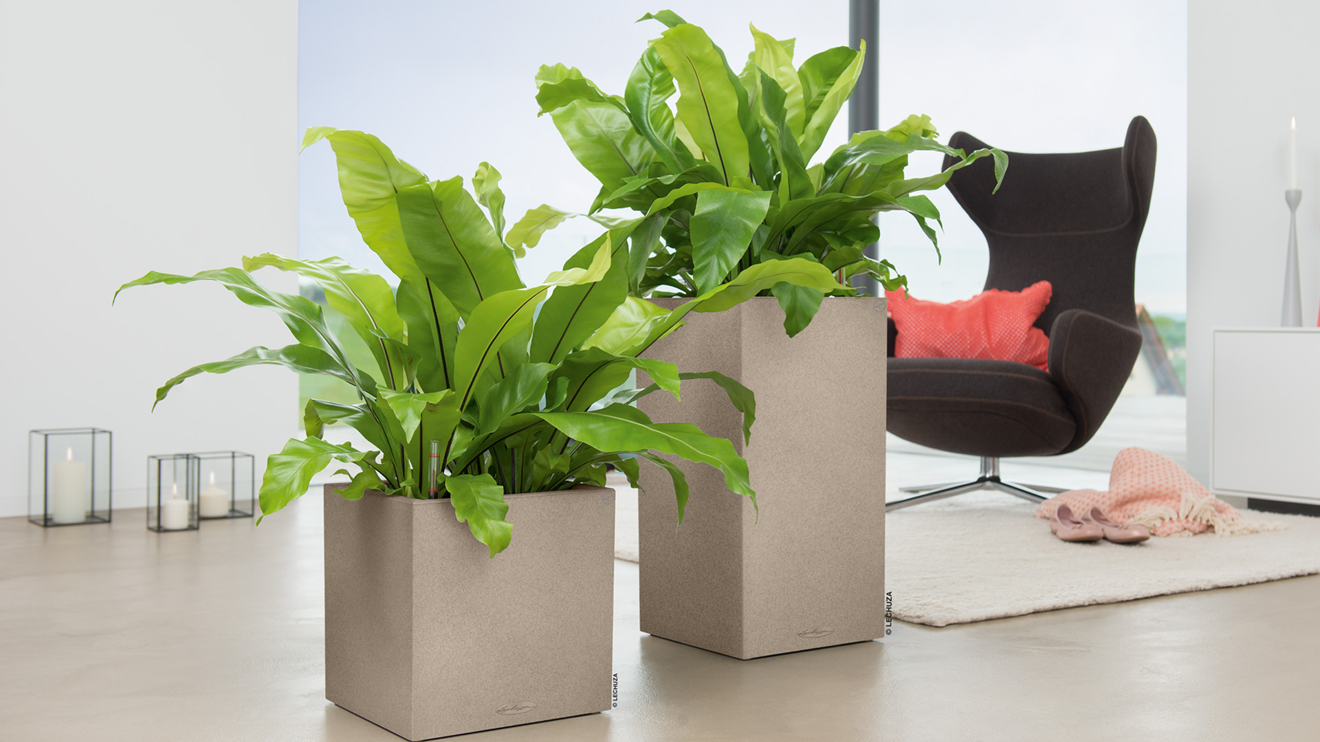 Krukker og grønne planter engros growdesign.dk