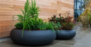 Wholesale of planters,